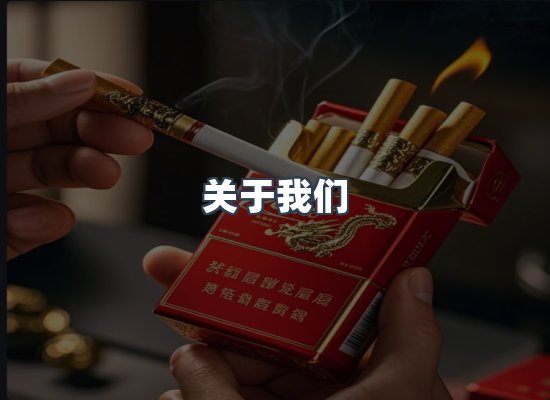关于我们